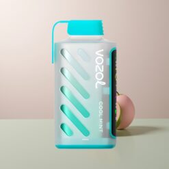 VOZOL Gear Power 20000 Cool Mint Dual Mesh