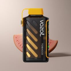 VOZOL Gear Power 20000 Dual Mesh Power