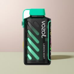 VOZOL Gear Power 20000 Lemon Mint Dual Mesh