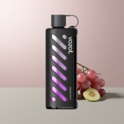 VOZOL Gear Shisha 25000 Grape Mint Dual Mesh