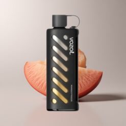 VOZOL Gear Shisha 25000 Mango Freeze Dual Mesh