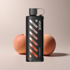 VOZOL Gear Shisha 25000 Mango Peach Dual Mesh