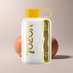 VOZOL STAR 40000 Mango Peach 1000mAh Type-C Disposable Vape