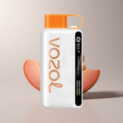 VOZOL STAR 9000/12000 Mango Ice Recycled Vape