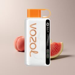 VOZOL STAR 9000/12000 Peach Mango Watermelon Recycled