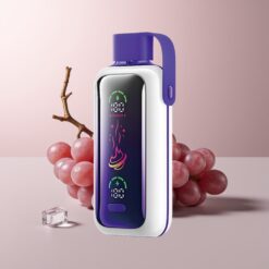 VOZOL Star 20000 Grape Ice Dual Mesh