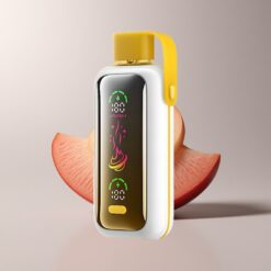 VOZOL Star 20000 Mango Ice Dual Mesh