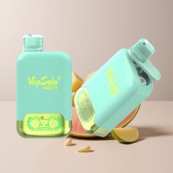Vapsolo Twins 20000 Double Melon & Pineapple Coconut 40ml