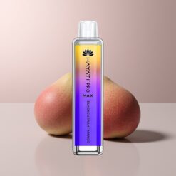 Hayati Pro Max 4000 Blackcurrant Mango Pro Mesh