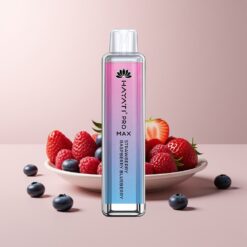Hayati Pro Max 4000 Strawberry Raspberry Blueberry Dual Mesh