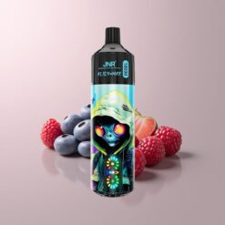 JNR Alien Max 18000 Blueberry Raspberry Smart LED Display