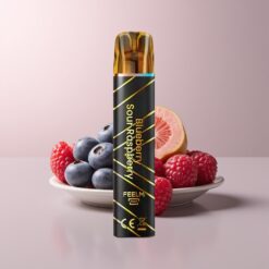JNR Black&Golden 600+200 Blueberry Sour Raspberry 550mAh