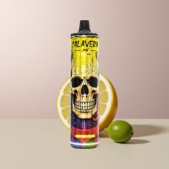 JNR Calavera 11000 Lime & Mesh 850