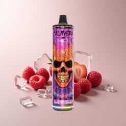 JNR Calavera 11000 Strawberry Raspberry Cherry Ice Type-C