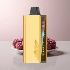 JNR Cruiser 12000 Blackberry Ice Dual Mesh