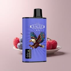 JNR EAGLE Smart 23000 Blueberry Raspberry Cherry Digital Screen