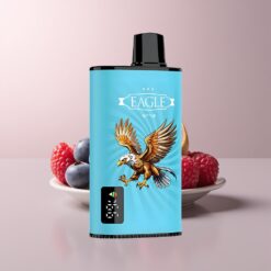 JNR EAGLE Smart 23000 Blueberry Sour Raspberry Digital Screen