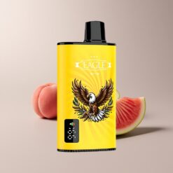 JNR EAGLE Smart 23000 Peach Mango Watermelon Digital Screen