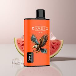 JNR EAGLE Smart 23000 Watermelon Ice Digital Screen