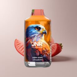 JNR Falcon 16000 Strawberry Dual Mesh 22ml