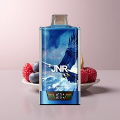 JNR Falcon Pro 28000 Blueberry Sour Raspberry Dual Mesh