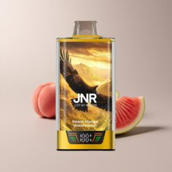 JNR Falcon Pro 28000 Peach Mango Watermelon Smart Display