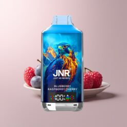 JNR Falcon X 18000 Blueberry Raspberry Cherry 24ml Dual Mesh