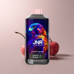 JNR Falcon X 18000 Dual Mesh Berry 24ml