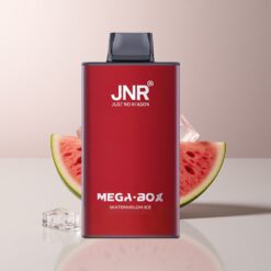 JNR Mega Box 25000 Watermelon Ice Dual Mesh