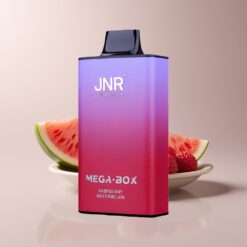 JNR Mega Box 25000 Watermelon Quick Charge