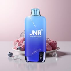 JNR Rainbow 10500 Blueberry Ice 18ml