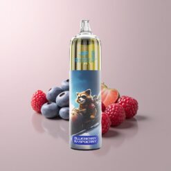 JNR Rocket-X 12400 Blueberry Raspberry Mesh Coil