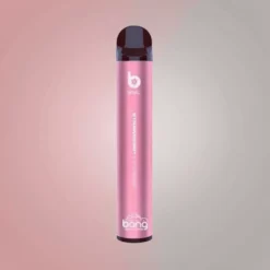 Bang XL 550mAh Disposable Pod Vape Compact Fruit Series