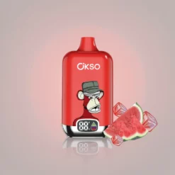 OKSO Digital 12000 Puffs Disposable Vape 25ml Netherlands