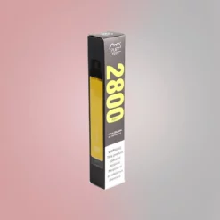Puff Flex 2800 Puffs Disposable Vape 8ml Fruit Flavors